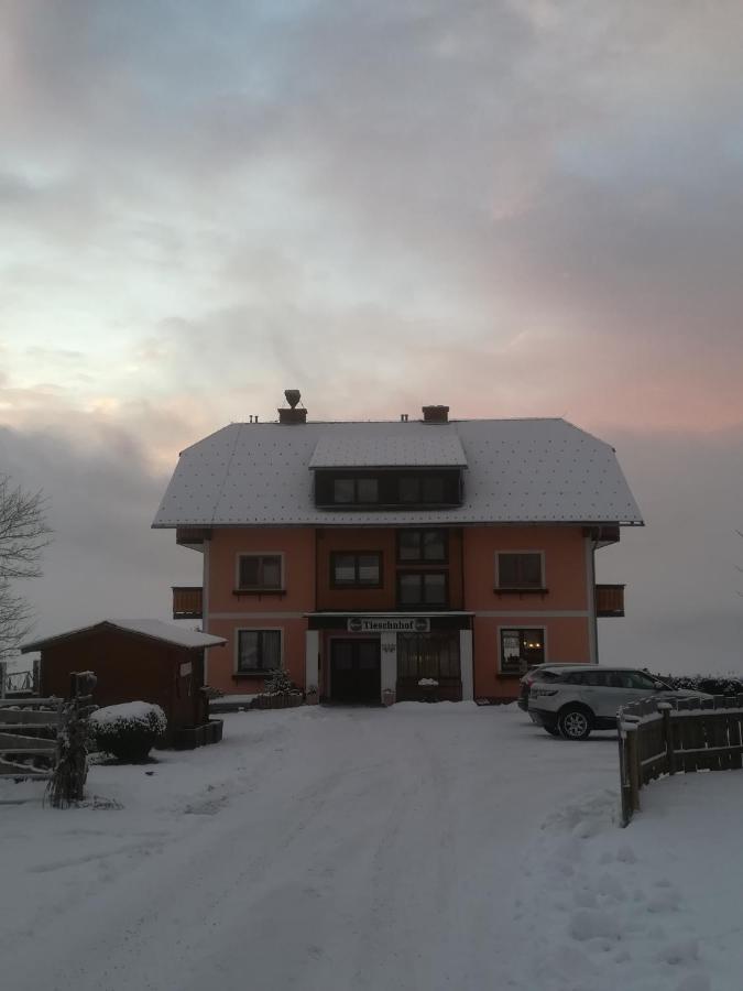 Hotel Tieschnhof à Grobming Extérieur photo